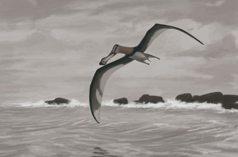 Птерозавры