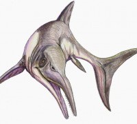 Ихтиозавры