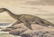 Плезиозавры