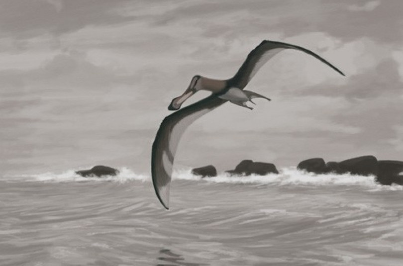 Птерозавры