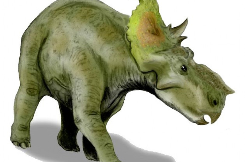 Пахиринозавры